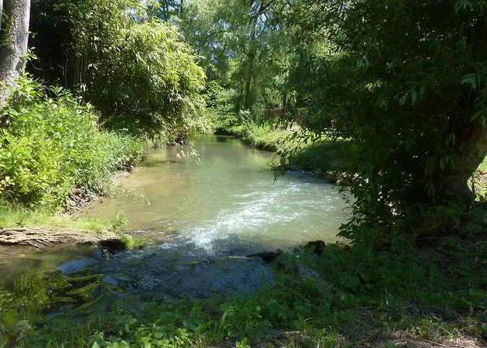Tiny-River