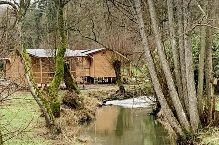 Chalet Tiny-river