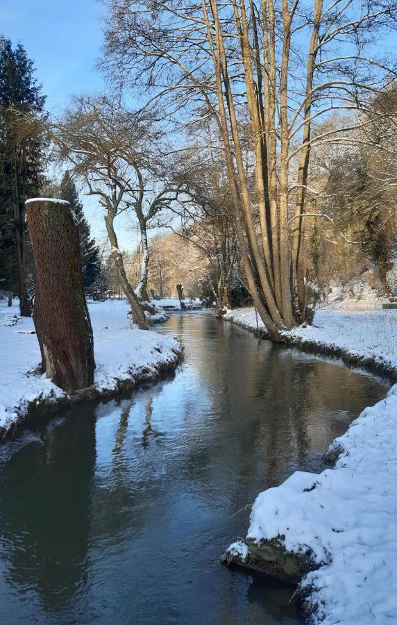 Chalet Tiny-river *